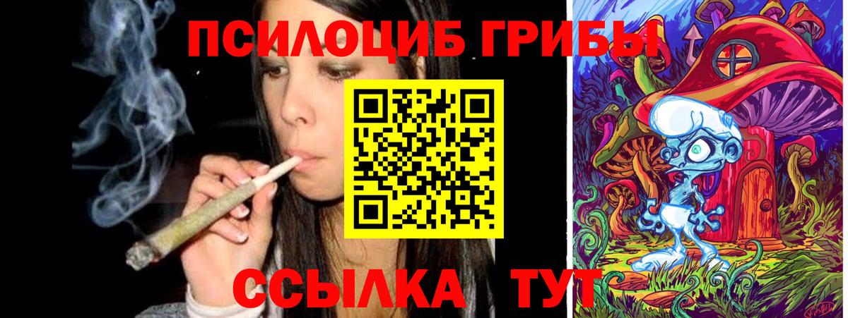 Наро-Фоминск  купить наркотики цена  Вход с VPN  Галлюциногенные грибы Psilocybine cubensis  Галлюциногенные грибы мицелий 